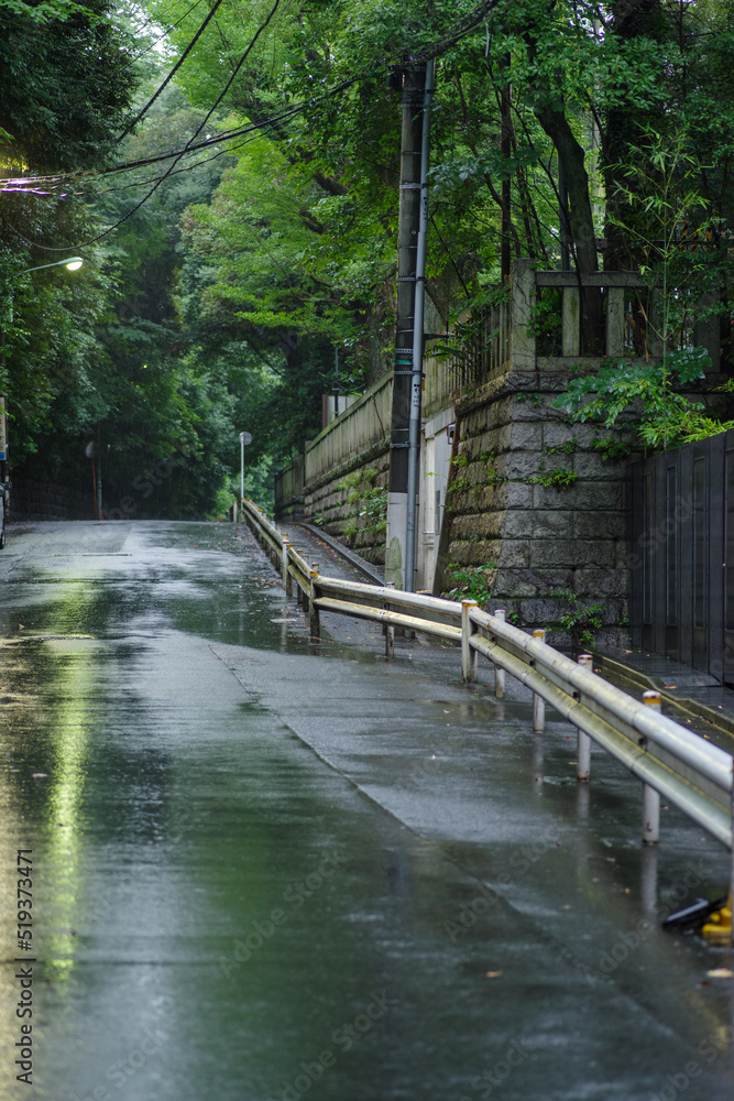 Obraz premium 雨で路面が濡れた赤坂の街並