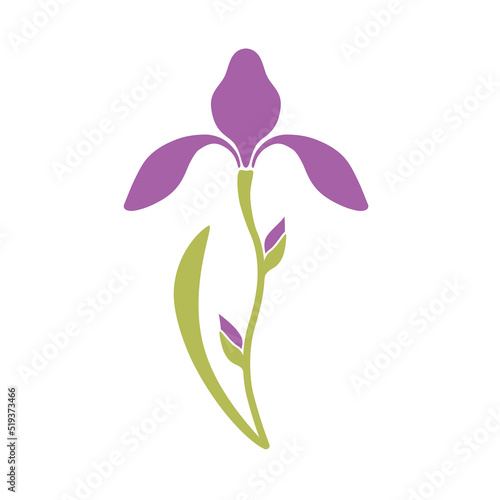 Iris flower on a white background. Flat design. Vector illustration.