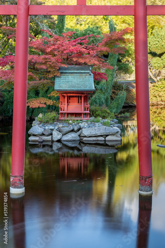 Red Pagoda Surrounded By Torii Gate in Japanese Garden Pond in Point Defiance Park, Tacoma, WA