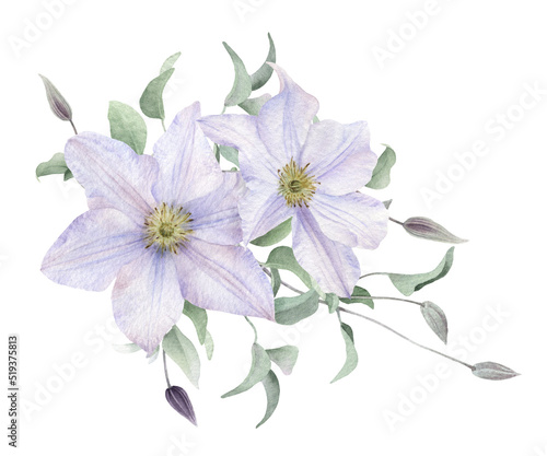 A floral composition with white clematis flowers, buds and stems with leaves hand drawn in watercolor isolated on a white background. Watercolor illustration. Watercolor floral arrangement. © Tatiana