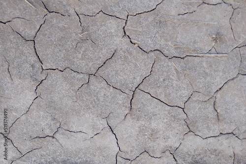 Dried-up earth in cracks. The heat, the background of the earth. Natural background.
