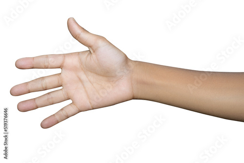 Hands isolated on white background 