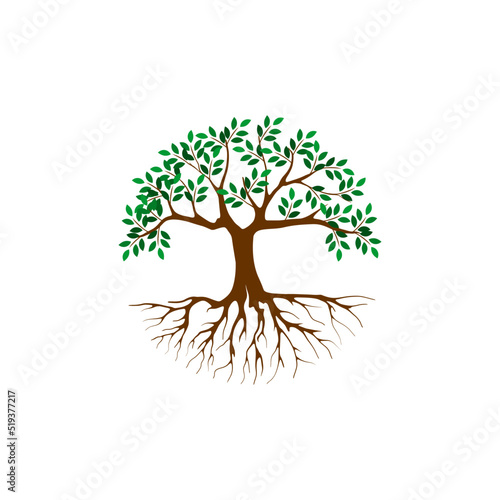 Tree with Roots. Vector Illustration.