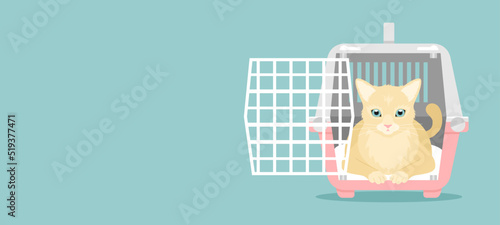 A cat sitting in an open pink and gray pet carrier on a blue background with copy space. Flat vector illustration