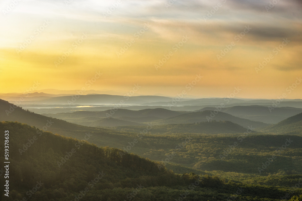 Fototapeta premium Nebliger Sonnenaufgang in Ungarn