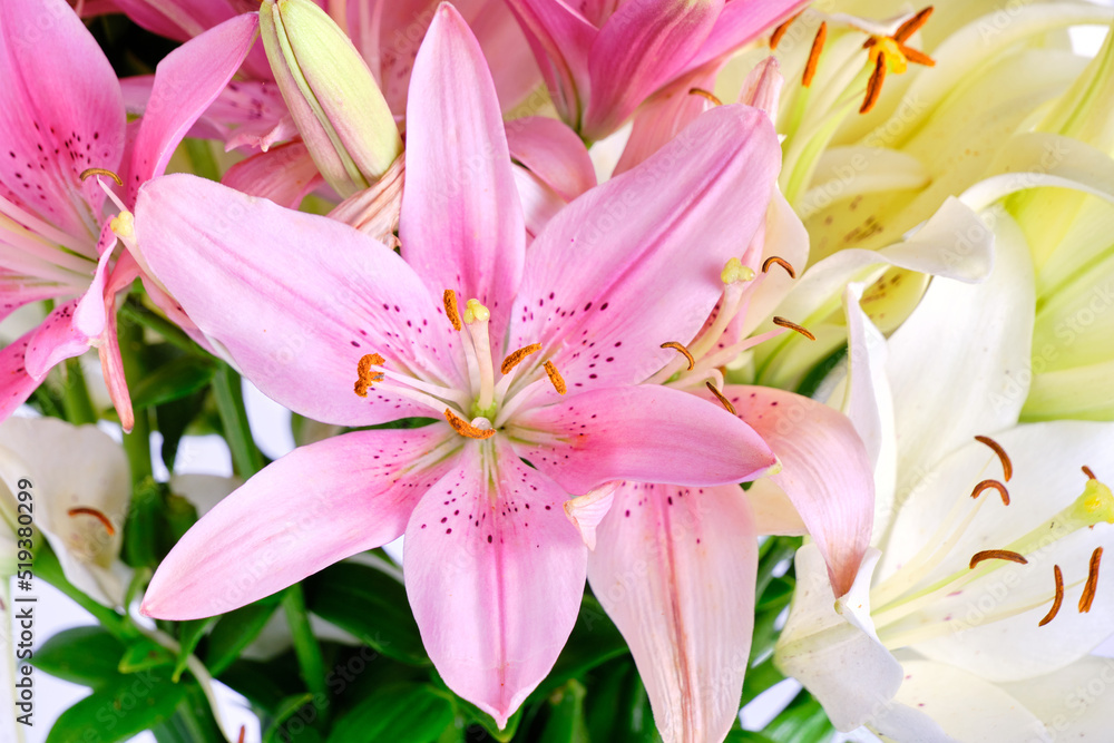 Bouquet of pink and white lilies.