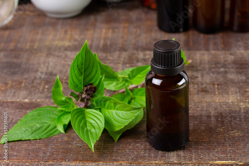Bottle of basil essential oil with fresh basil leaf on rustic wooden background. Basil is both food and herbs for health care.