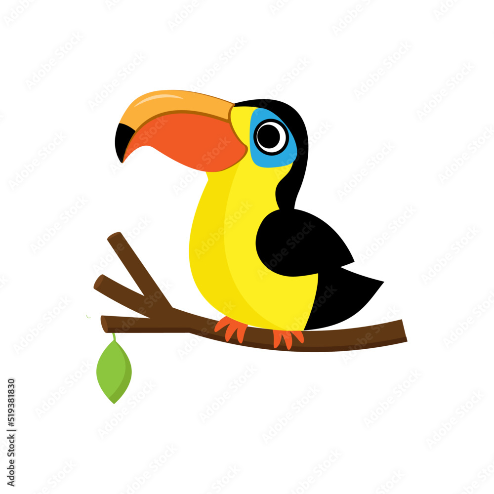 Cute big beak cartoon toucan bird vector illustration
