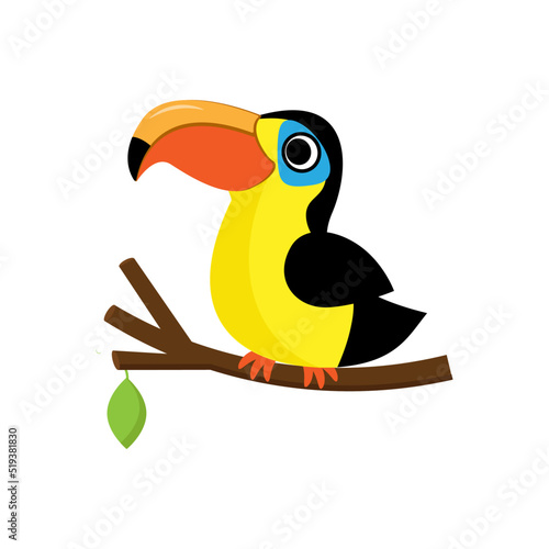 Obraz na płótnie Cute big beak cartoon toucan bird vector illustration w salonie