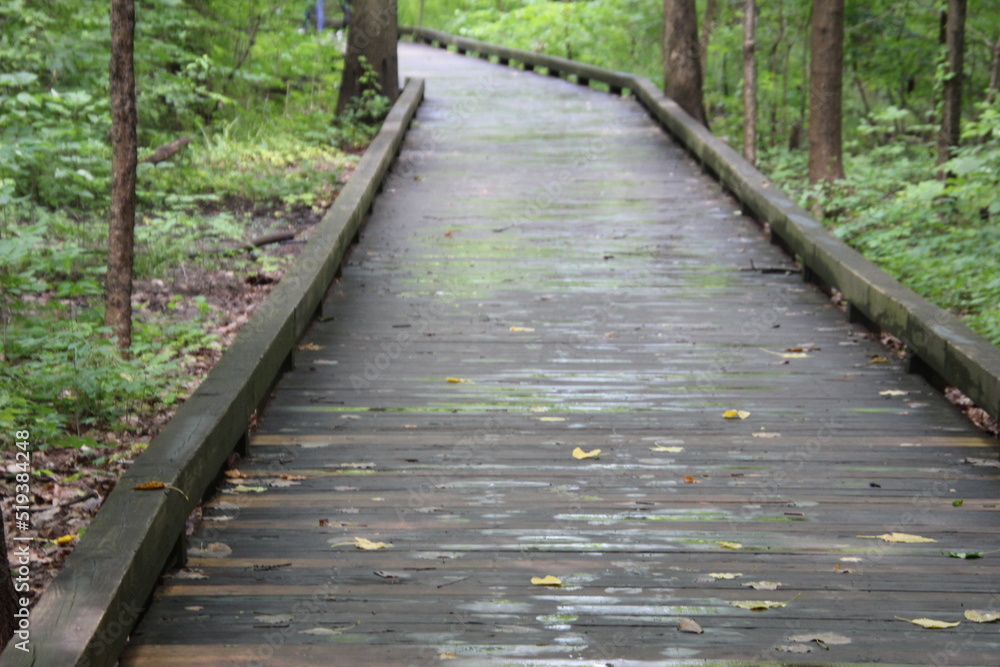 Rainy boardwalk