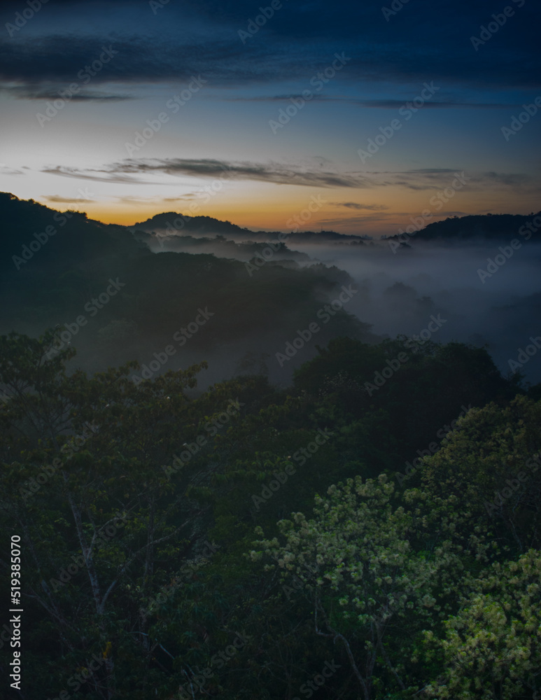 Fototapeta premium view of tropical rain forest at dawn shrouded in mist seen from above