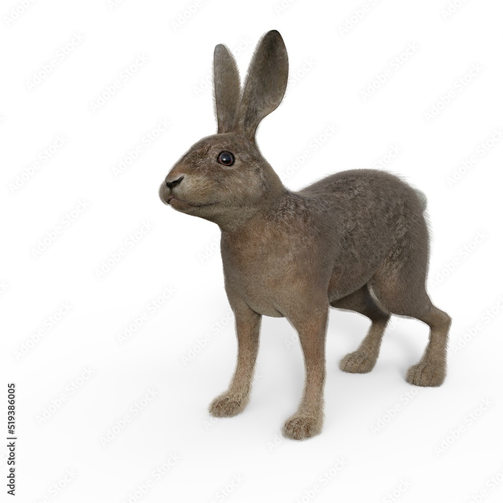 3d-illustration of an isolated rabbit animal pet standing 3d-illustration of an isolated rabbit animal pet standing