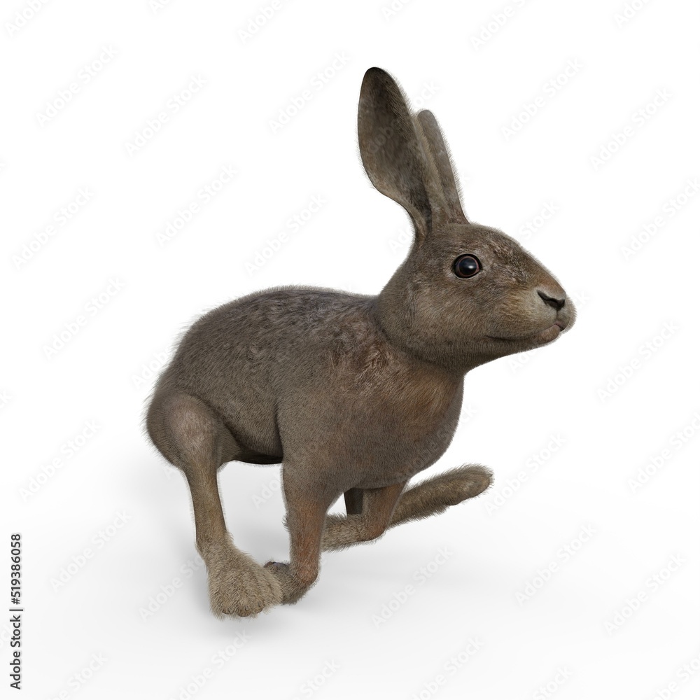 Obraz premium 3d-illustration of an isolated running rabbit animal pet