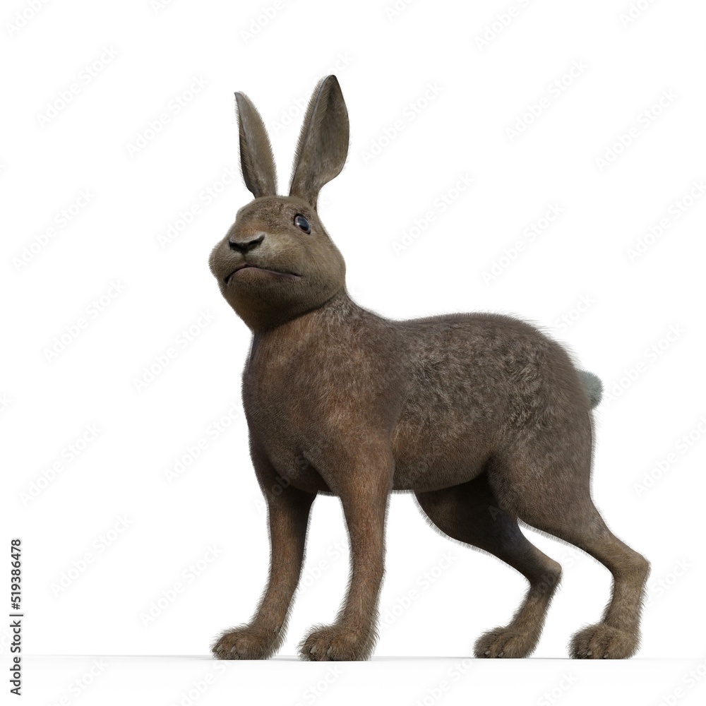 Obraz premium 3d-illustration of an isolated rabbit animal pet standing