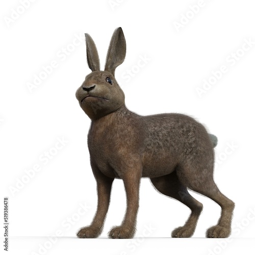 3d-illustration of an isolated rabbit animal pet standing © Ralf Kraft