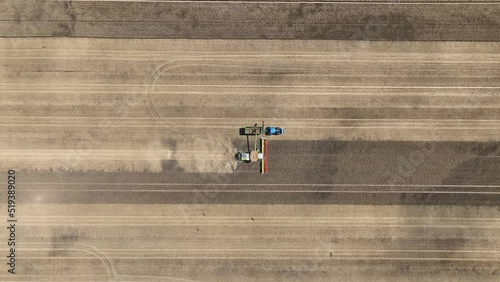 Aerial view of grain harvest in Brandenburg. Germany
