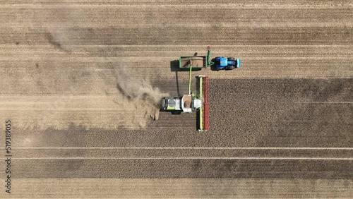 Aerial view of grain harvest in Brandenburg. Germany