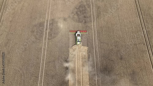 Aerial view of grain harvest in Brandenburg. Germany