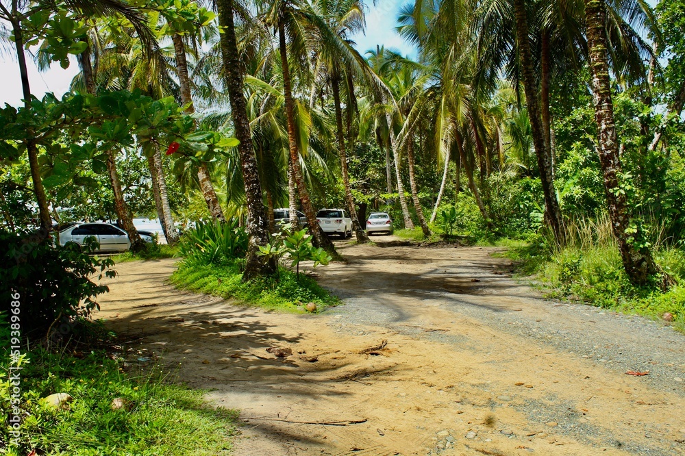 Obraz premium Hermoso lugar en el Ceribe de Costa Rica bañadoo por las aguas del imponente Mar Caribe
