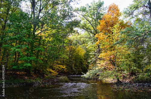 autumn landscape with river © derek