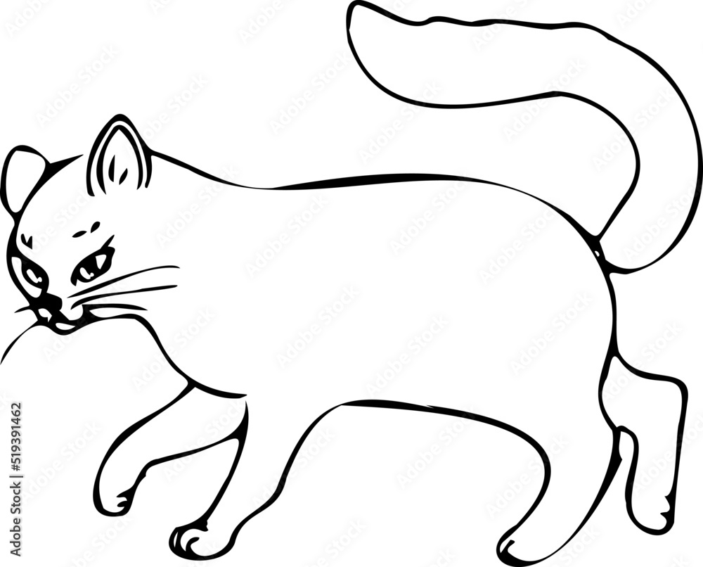 Daily Cat Drawings  Cat drawing, Angry cat, Cats illustration
