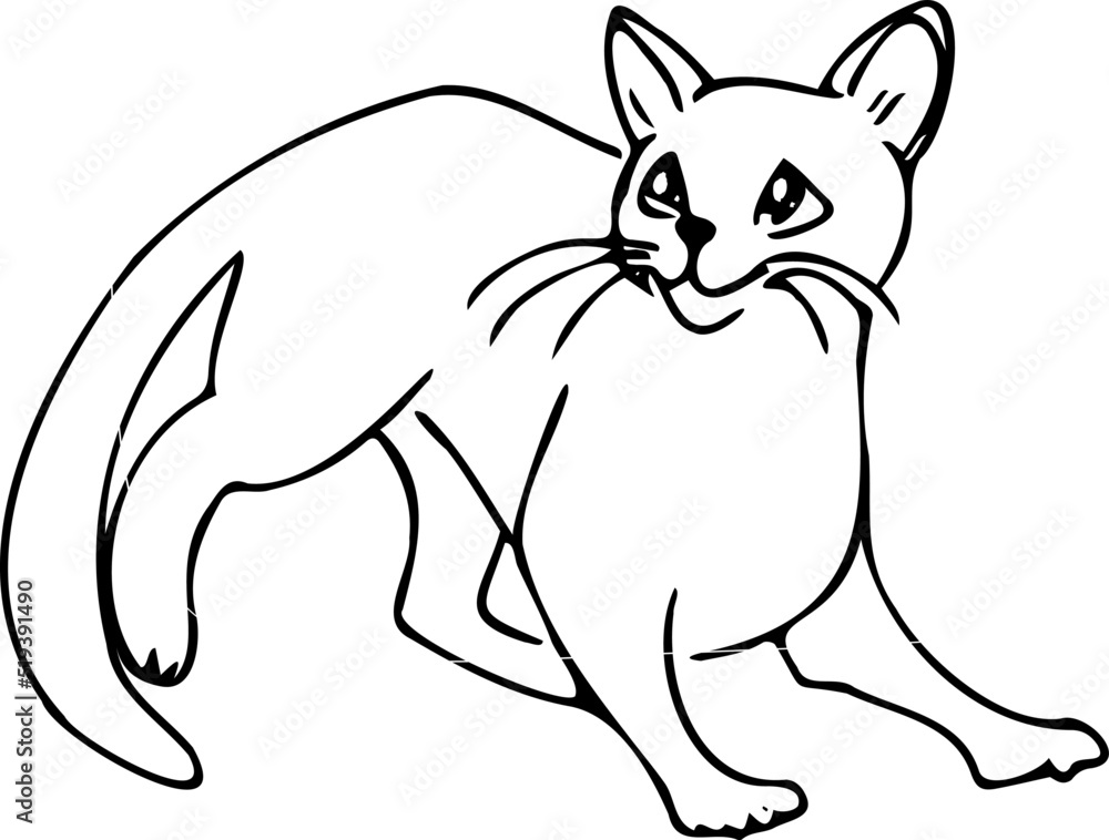 Obraz premium Cat day illustration doodle.Cat character sketch. Cute kitten hand drawn collection, cats emotions funny and hungry, happy and angry cartoon