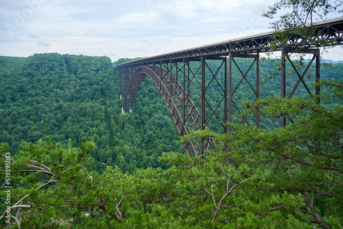 a view of a high rusted metal bridge over a huge forested valley. 