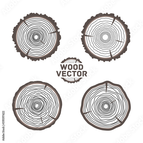 Set of four vector tree rings background and saw cut tree trunk. Vector illustration