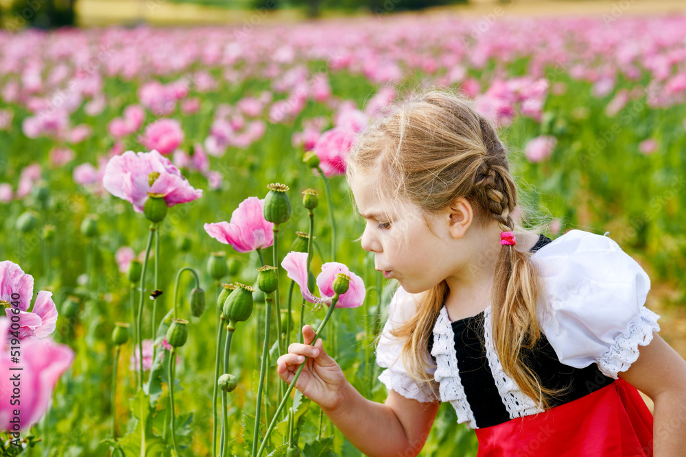 Little preschool girl in poppy field. Cute happy child in red riding hood dress play outdoor on blossom flowering meadow with pink poppies. Leisure activity in nature with children. Little preschool girl in poppy field. Cute happy child in red riding hood dress play outdoor on blossom flowering meadow with pink poppies. Leisure activity in nature with children.