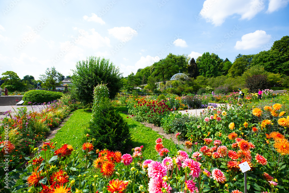 botanical garden in munich, blue sky, landscape botanical garden in munich, blue sky, landscape