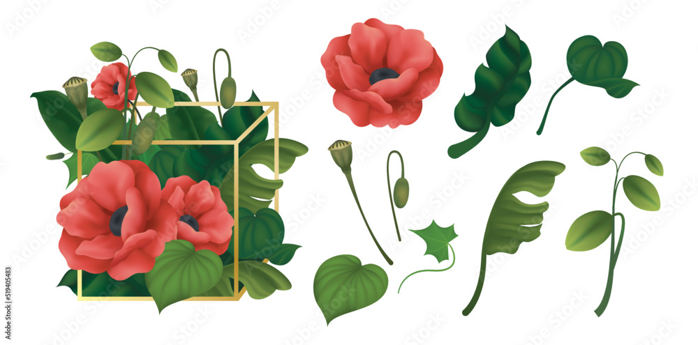 Flower arrangement with red poppy flowers, green foliage in a cube. Set of plant elements, flower buds, different leaves isolated on white background. Vector illustration.
