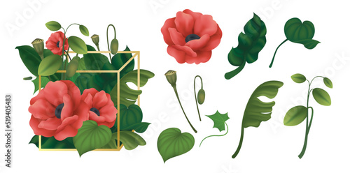 Flower arrangement with red poppy flowers, green foliage in a cube. Set of plant elements, flower buds, different leaves isolated on white background. Vector illustration.