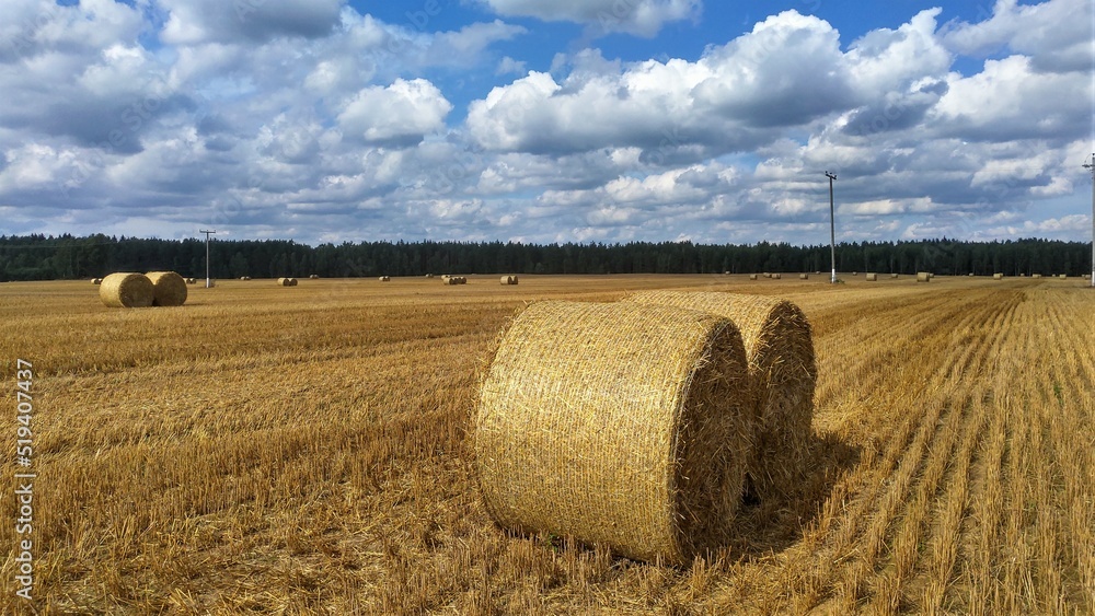 In a compressed wheat field, round bales of straw lie in various places. A power line on concrete poles crosses the field. Behind the field a forest grows. It is sunny and the sky is blue with clouds
