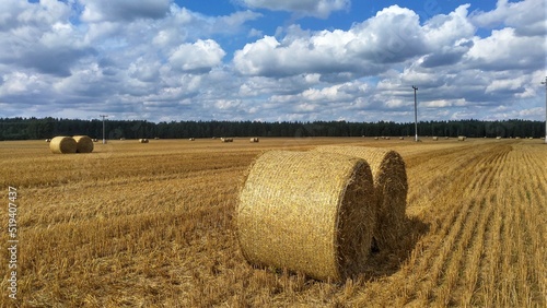 In a compressed wheat field, round bales of straw lie in various places. A power line on concrete poles crosses the field. Behind the field a forest grows. It is sunny and the sky is blue with clouds