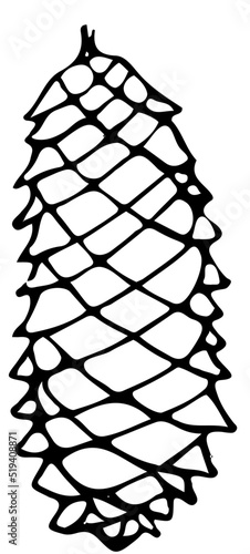 polskie drzewa iglaste line art świerk owoc