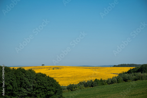 Countryside landscape. Agricultural land with meadows, fields and green forest. Rural view in Ukraine