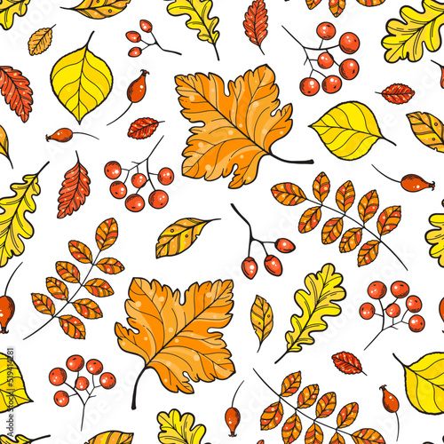 Autumn leaves seamless pattern. Autumn background. Beautiful print. Vector illustration.