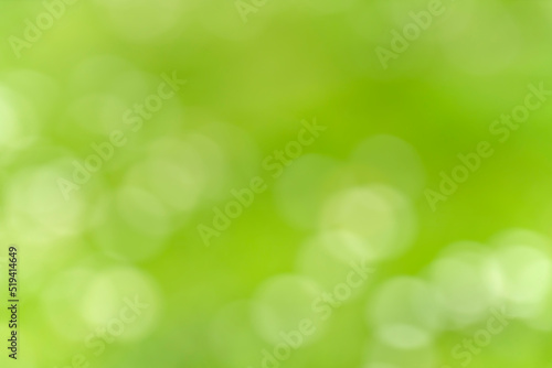 Blurred green background or texture with white bokeh