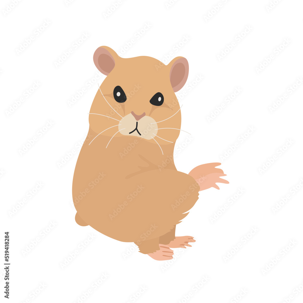 Obraz premium Hamster Background Very Cool