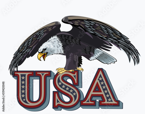 American Redoubtable  Eagle with USA flags