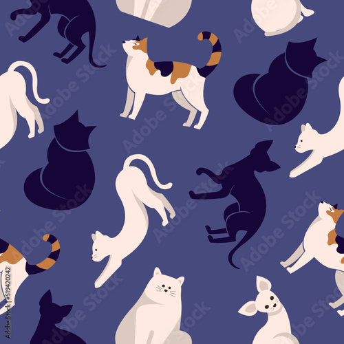 Seamless patten with cats. Flat design vector. Variety breeds cats in different poses sitting, standing, stretching, lying. For veterinary clinic, pet shop advertising concept. Collection of kittens