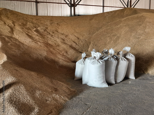Obraz na plátně Bags of grain are filled at the granary