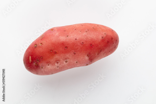Red potato isolated on white background.