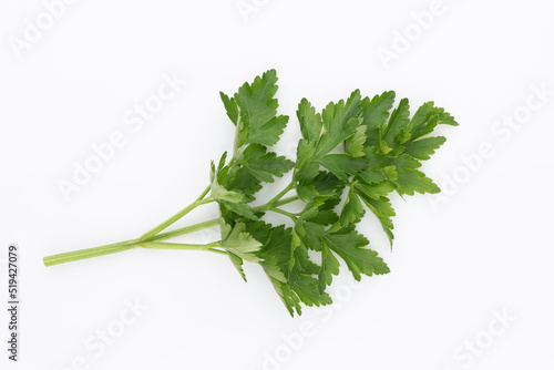Bio parsley leaf on white background.