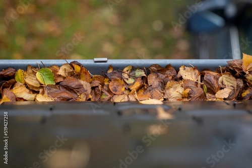 A portrait of a gutter on a roof full of colorful fallen leaves during fall season. Cleaning the clogged gutter is an annual chore for many people in order to the rain water flow away properly.