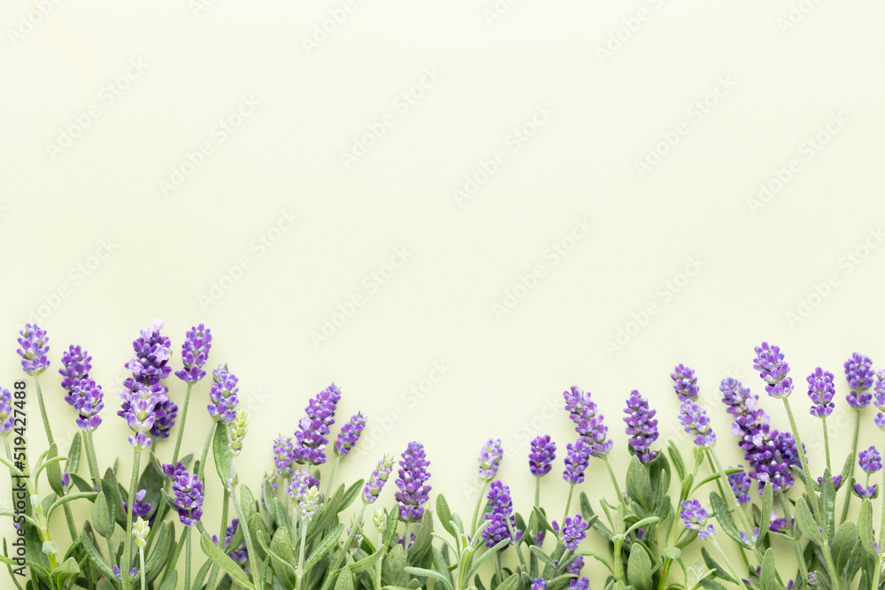 Naklejka premium Flowers composition, frame made of lavender flowers on pastel background.