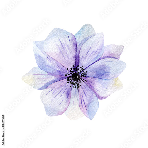 Flower watercolor illustration. Design for cover, fabric, textile, wrapping paper .
