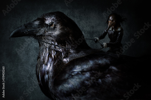 Obraz na płótnie Raven rider