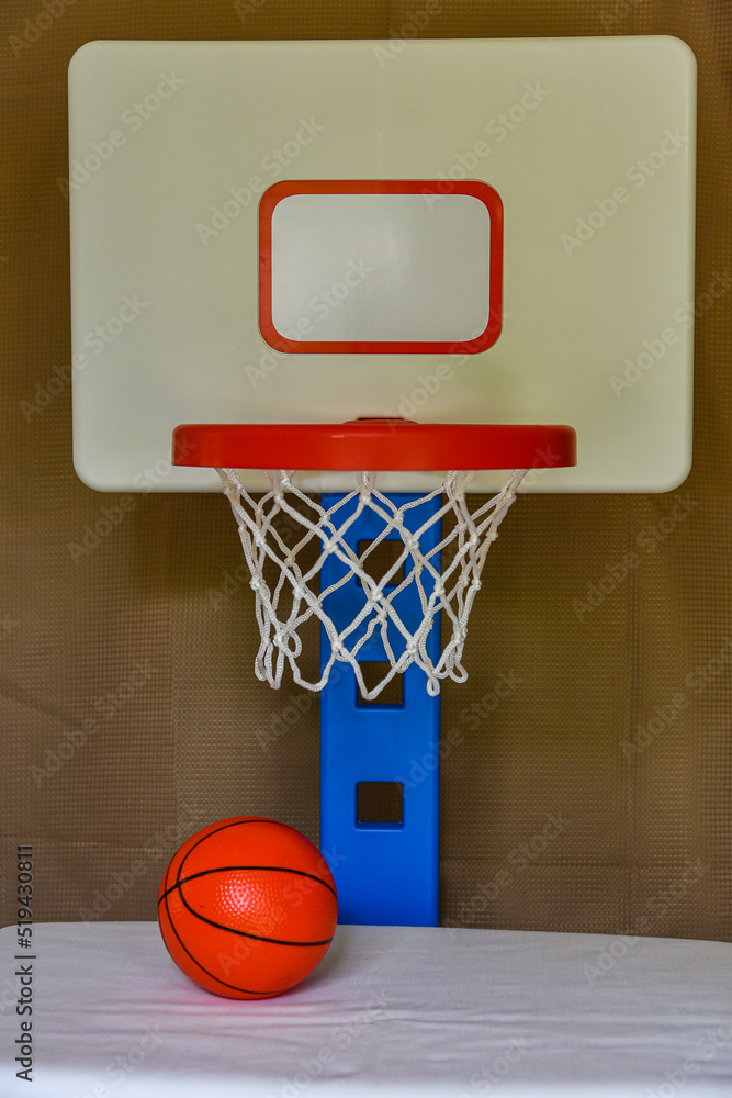 Basketball and Goal