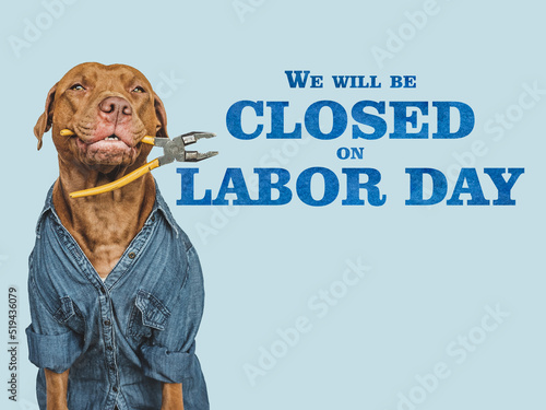 Signboard with the inscription We will be closed on Labor Day. Lovable, pretty puppy and hand tools. Closeup, indoors. Studio photo. Congratulations for family, friends, colleagues. Pets care concept